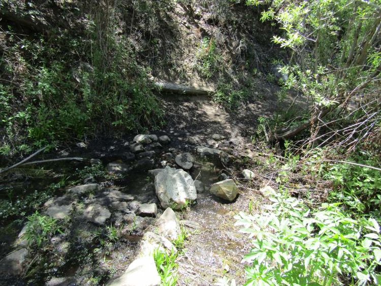Spanish Needle Creek