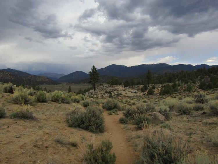 Kennedy Meadows