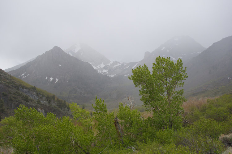 Back at the trailhead, watching the storm roll through.