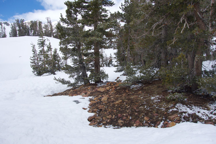 Although Big McGee Lake basin is almost entirely snowed in, I could still find reasonable bivy sites like this one.