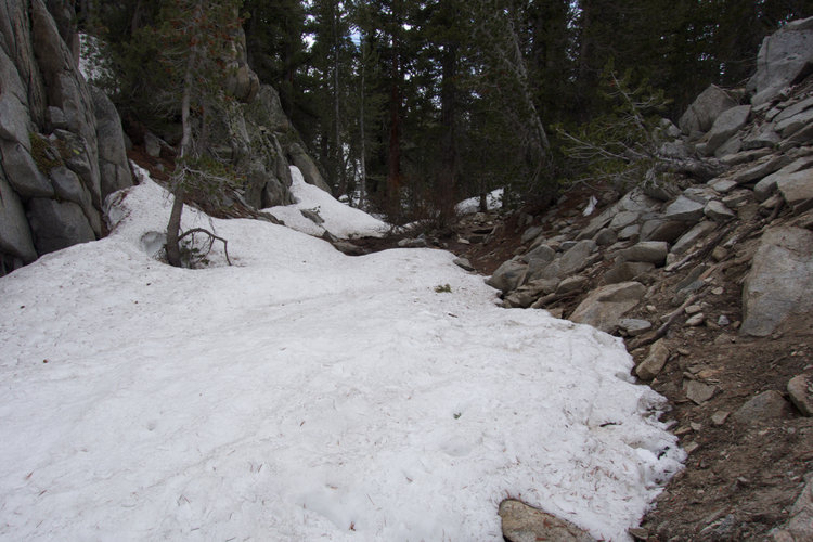 There are trivial snow patches, like this one, on the trail around 9,900' -- they are easily avoided.