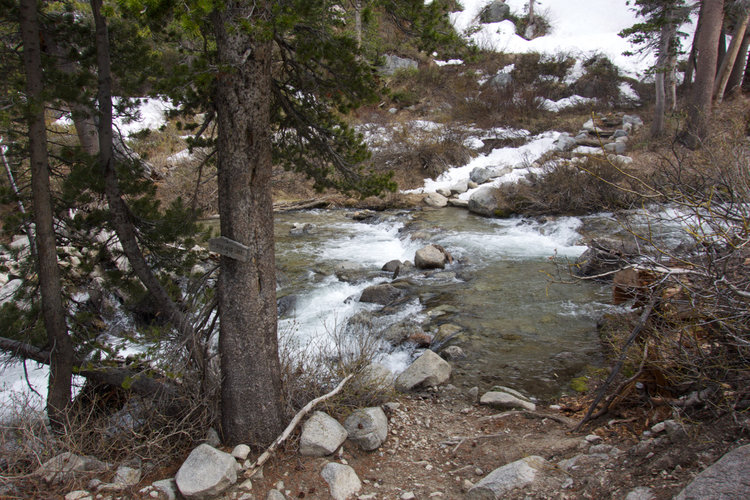 Current conditions at the trail junction and ford to Steelhead Lake.