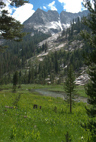 One of the many meadows in Le Conte Canyon
