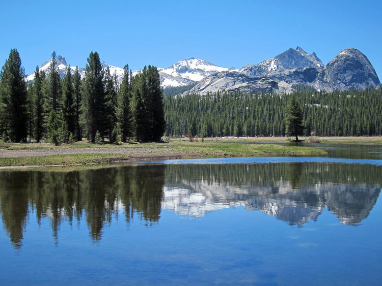 Tuolumne Meadows View