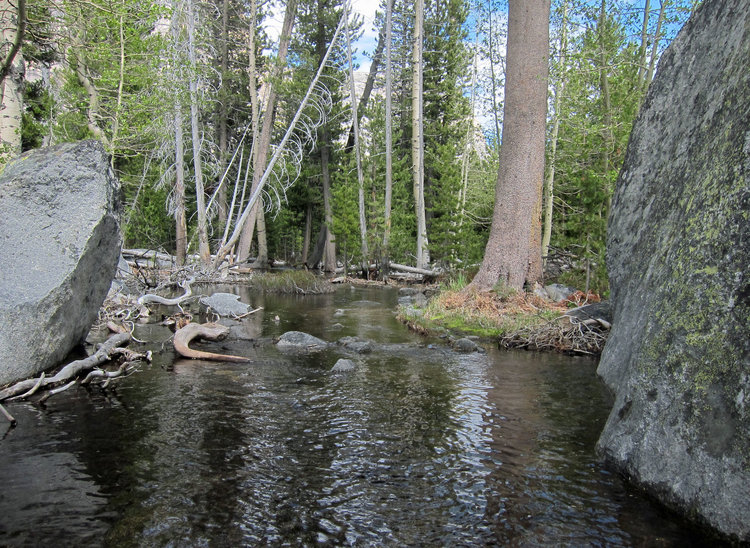 Flood trail in Glen Aulin near the top of California Falls