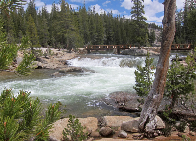 Upper Bridge above Glen Aulin