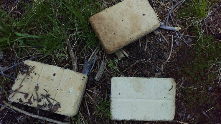 The &quot;bread&quot;