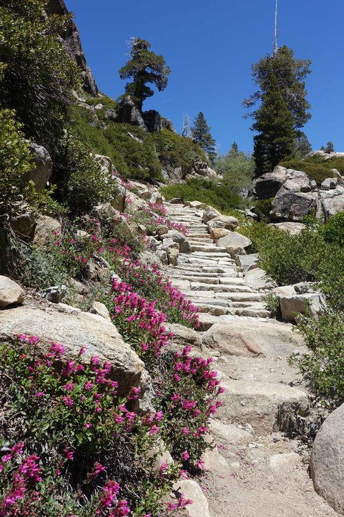 On the low trail coming up toward Groundhog Meadow