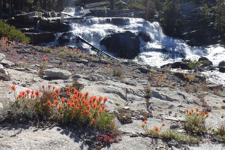 Some color alongside the cascades