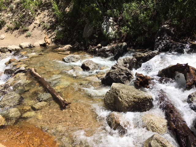 George Lake outlet crossing