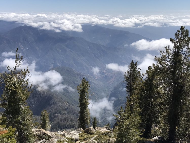 Looking southwest into King's Canyon from Spanish Mountain.