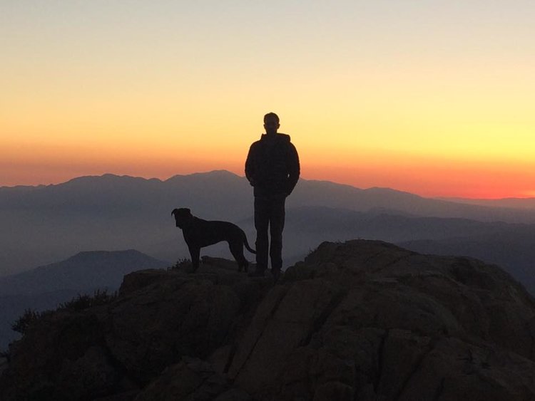 Sunset at Limber Pines
