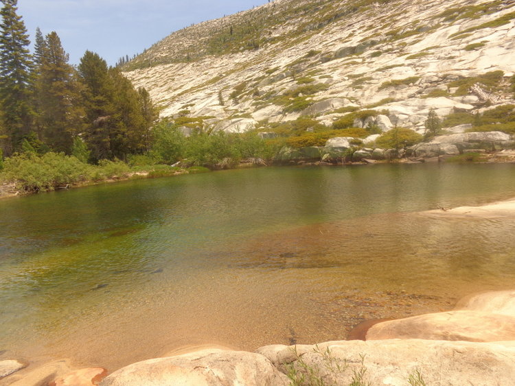 DSC01654.JPG