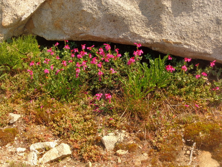 DSC01657.JPG