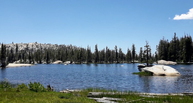 Pingree Lake