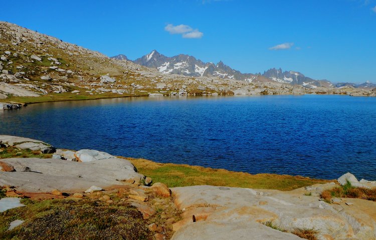 279.jpg