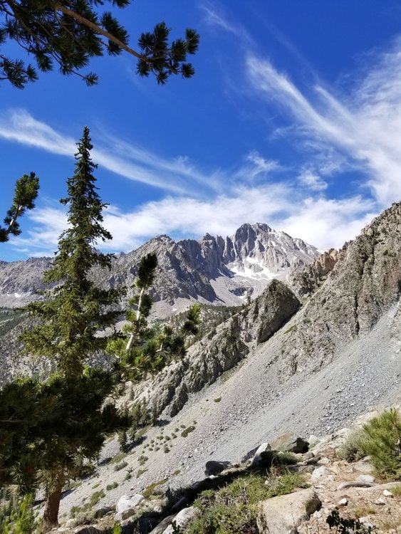 The view south heading up the Golden Trout Lakes trail.