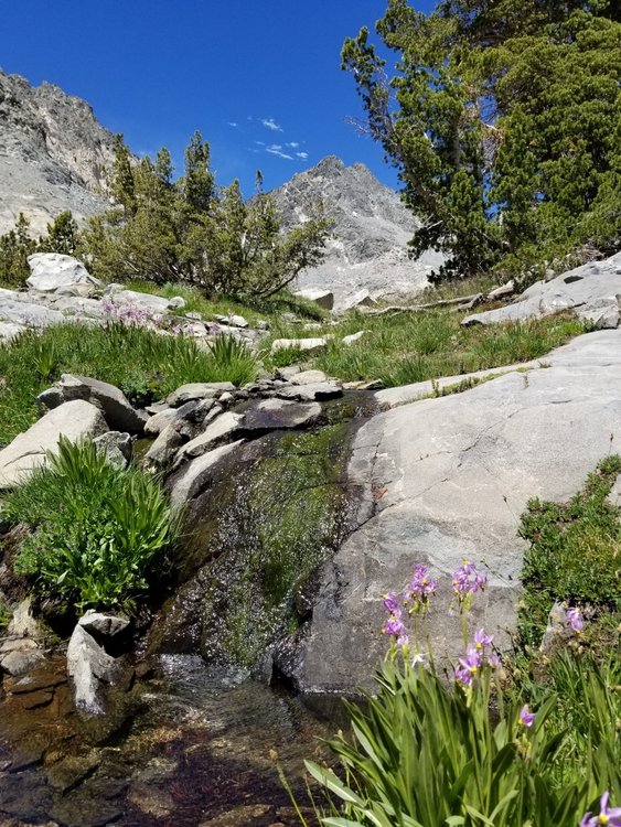 More pristine views heading to the upper lakes.