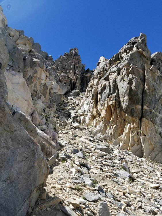 The right-trending shoot that lets you surpass the headwall and gain the ridge.  Going right at the base of the gendarme in the photo's center is the route to the summit, going left leads to the 4th class moves to the main ridgeline between Dragon and Gould.