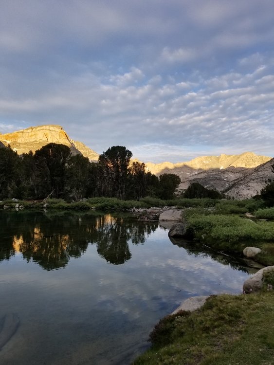 Morning light at the lake.