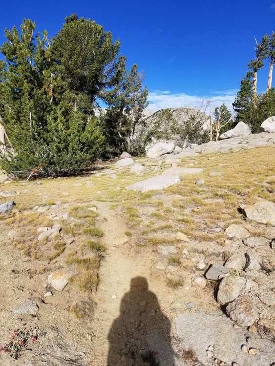 Look for this worn patch near the Dragon Lake outlet to pick up the use trail to Rae Lakes.