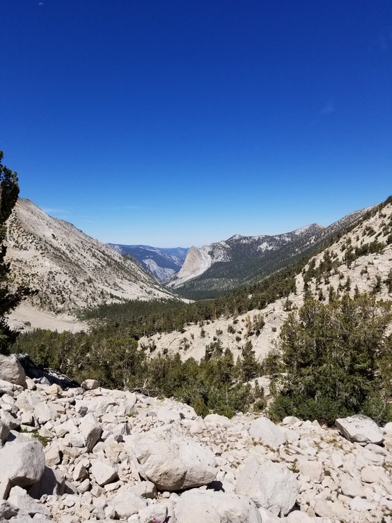 The view of Charlotte's Dome and the south side of Gardiner pass on the descent from Glen Pass.