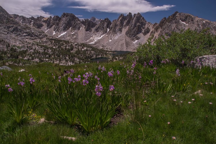 Kearsarge Pinnacles
