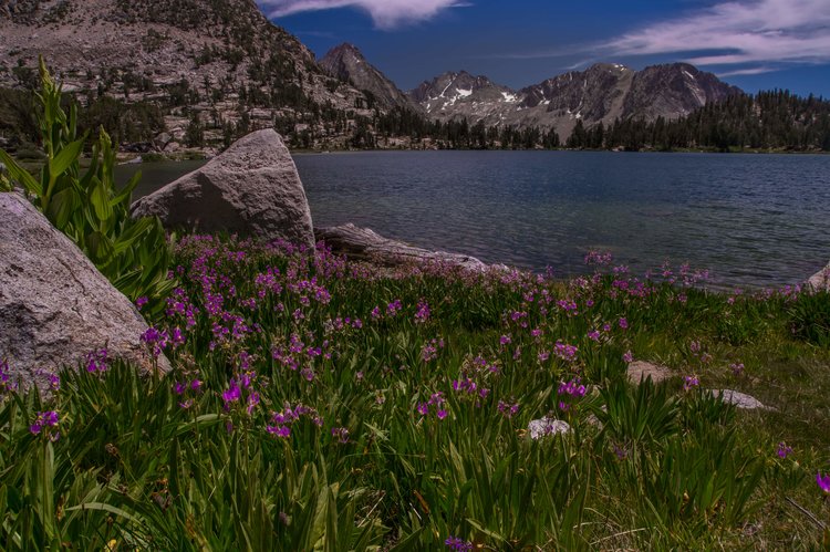 Bullfrog Lake