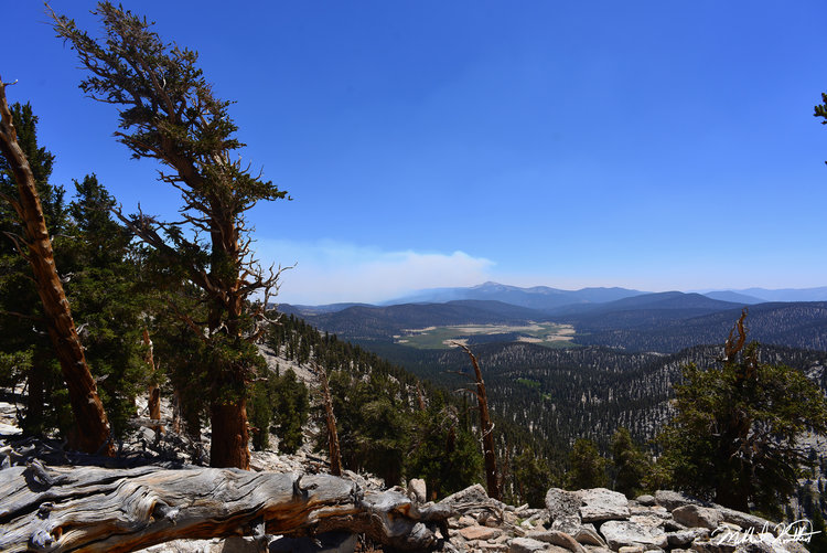The fire burning to the South. That's Big Whitney Meadow in the center.