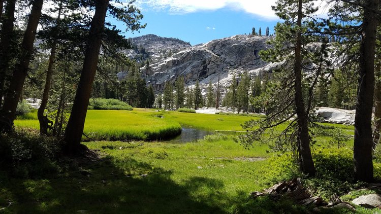 Passed this beautiful meadow and managed to avoid the mosquitoes