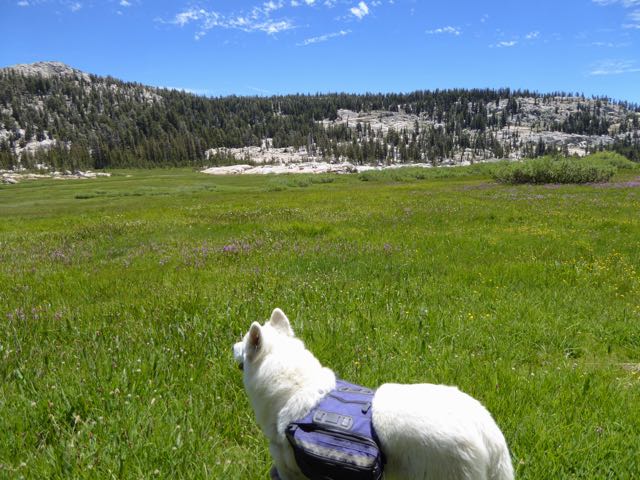 Upper Relief Valley