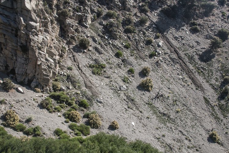 south side of ridge below Mahogany Flat