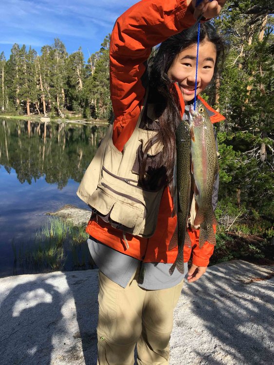 Four of the seven nice rainbows Dawn caught in her best-ever fishing session.
