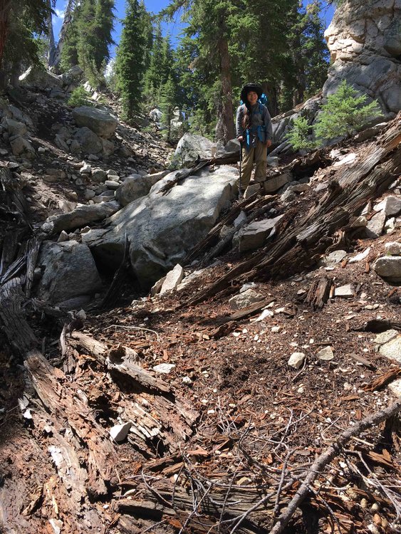 Beginning of the steep descent from Brave Lake to Fish Creek.
