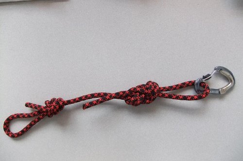 TR2a climbing rope and clip.jpg