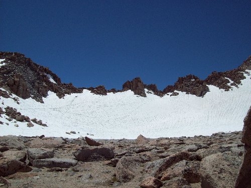 The Col.
