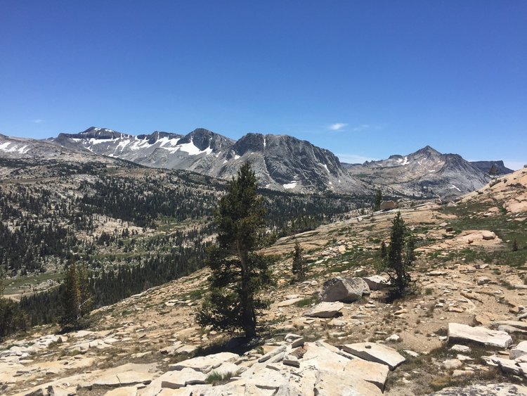 Fletcher &amp; Vogelsang Peaks from east ridge of Rafferty Peak