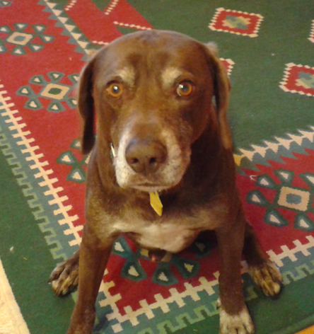 HersheyPic.jpg