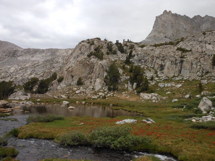 Middle part of Hutchings Creek drainage -- Peak 12356