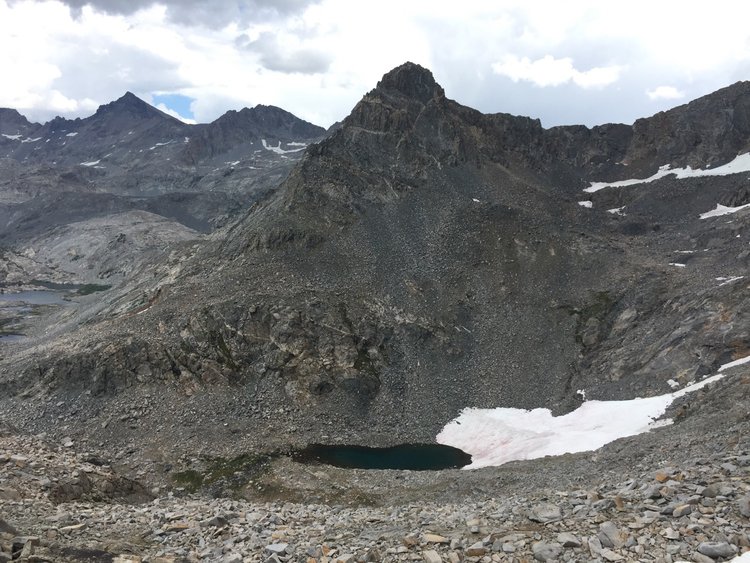 Mt Ansel Adams from Foerster Ridge