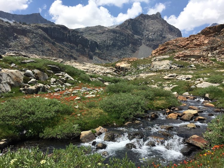 Upper North Fork San Joaquin River basin.
