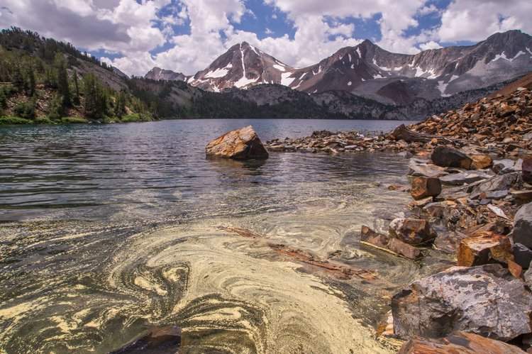 Lake Dorothy with swirly pollen