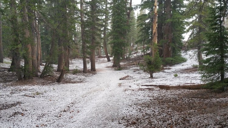 hail