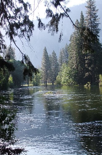 Yosemite Valley 7h am
