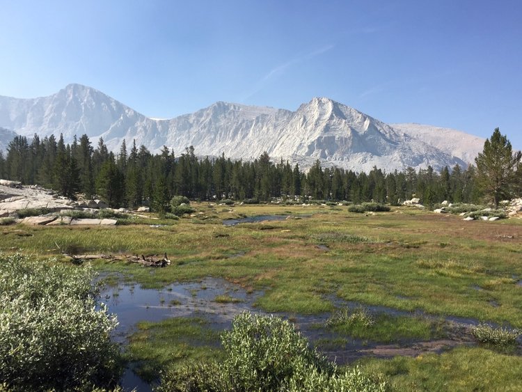 Wallace Creek