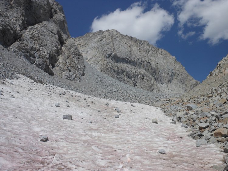 Fresh rock fall on snow field midway down canyon