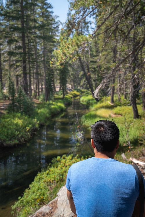 A particularly lush section of Minaret Creek