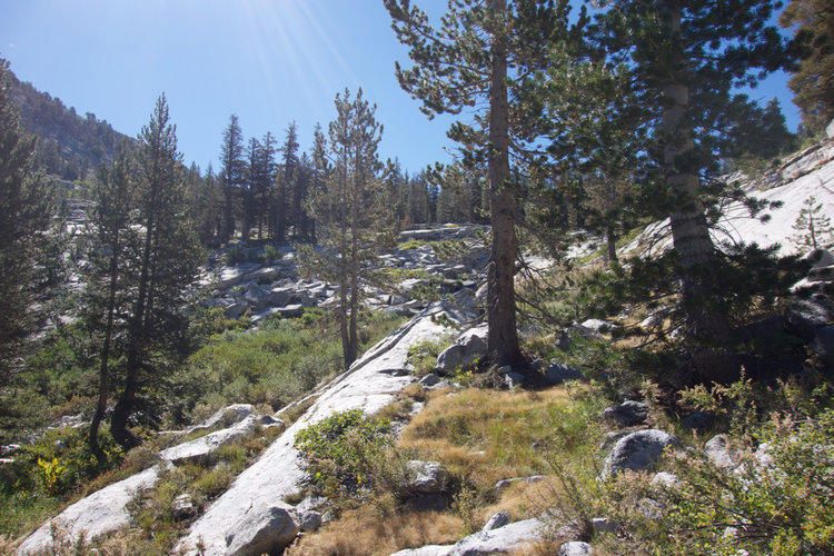 Ascending grassy slopes towards the first Sphinx Lake