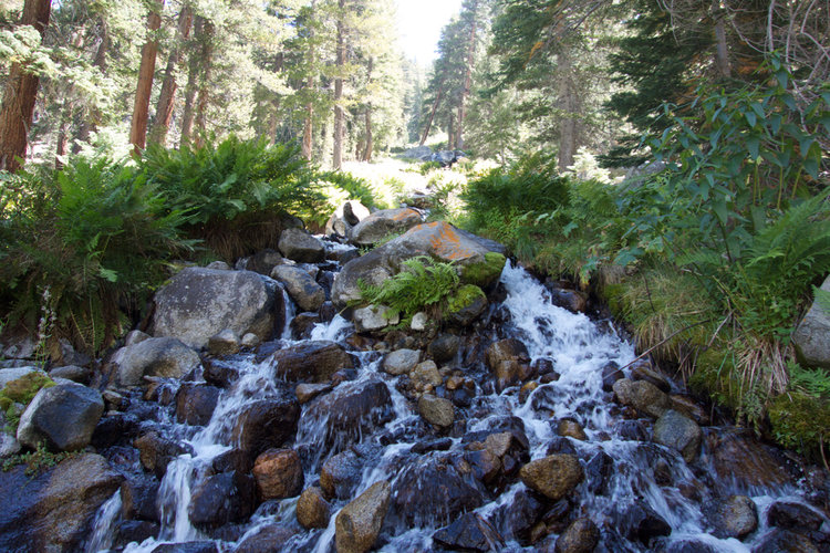The East Lake trail offered many surprises, including this delicate waterfall.