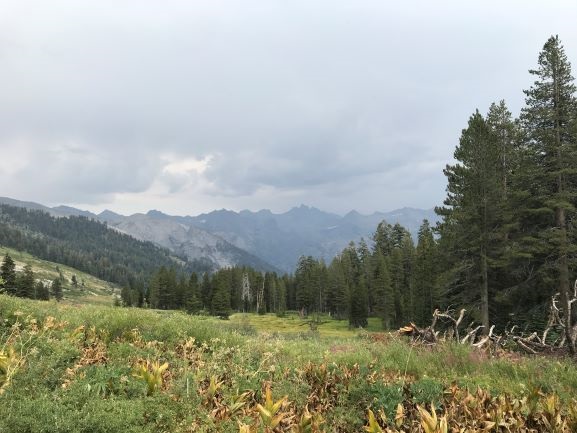Light rain at Alta Meadow